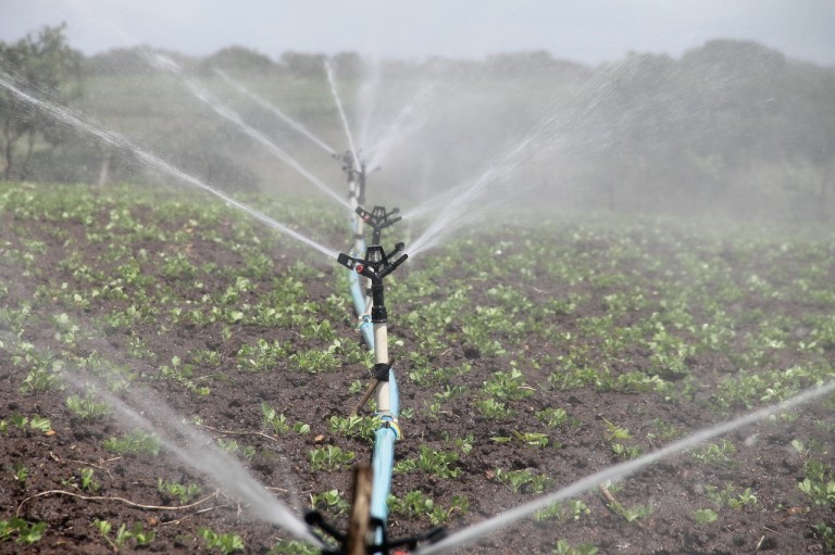 5 sistemas de riego innovadores para el ahorro de agua