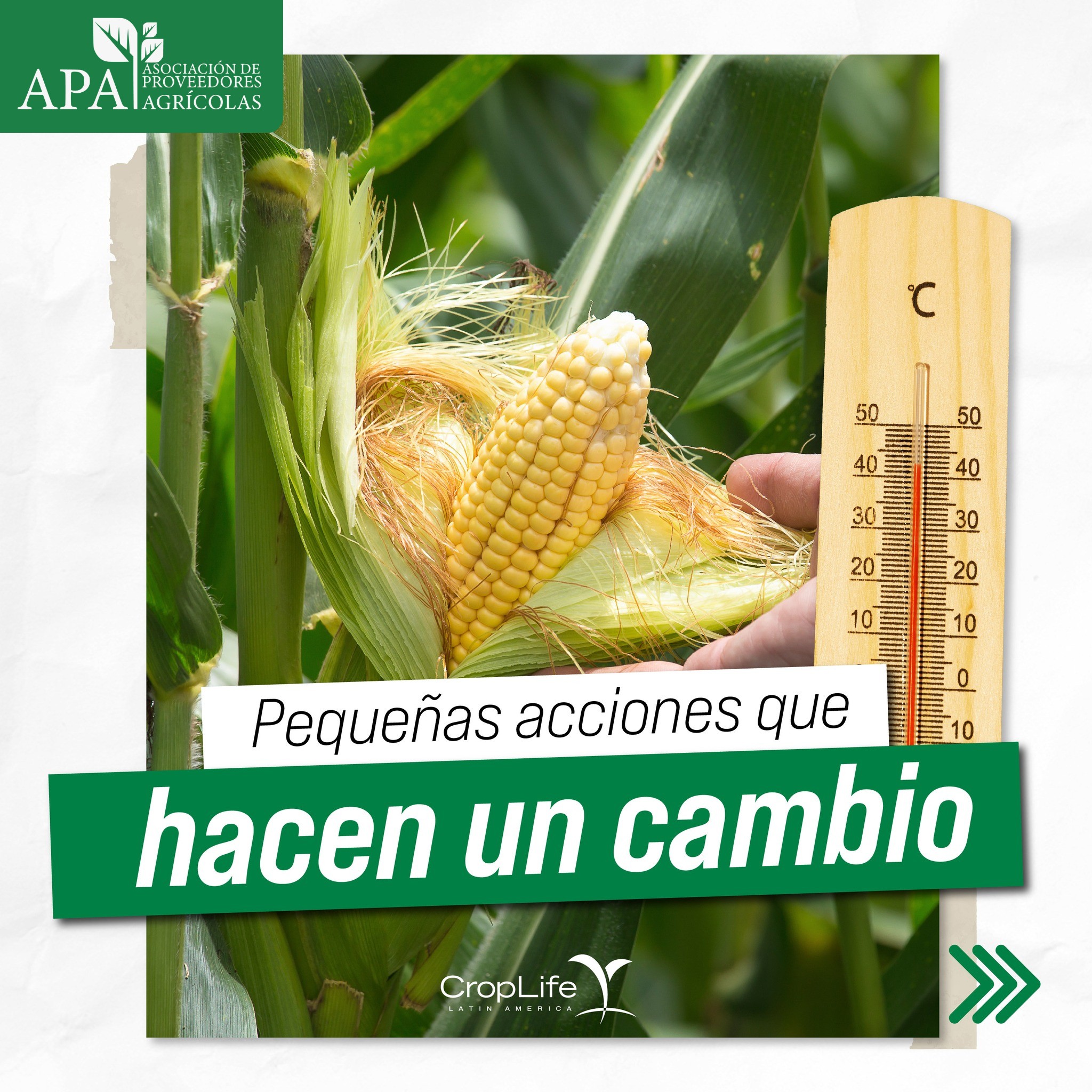 557591828_1340559574433102_7350531237193157217_n