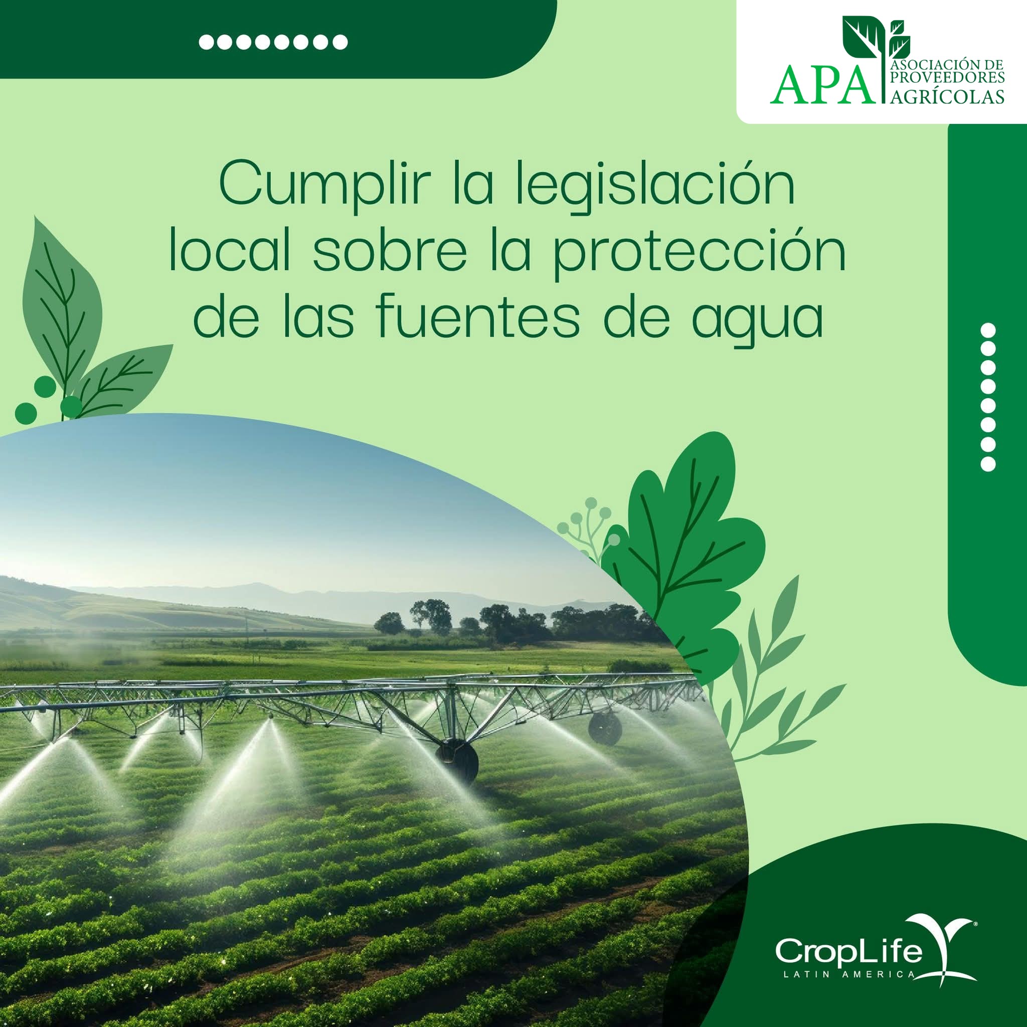 557600663_1341564614332598_1090928189637080562_n