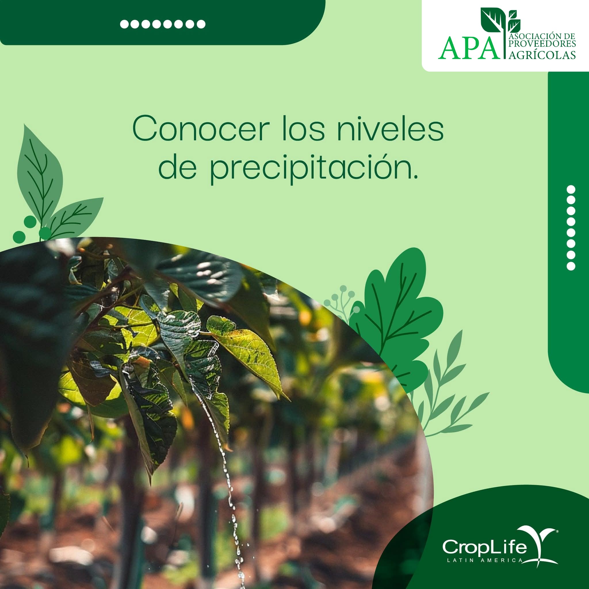 557641375_1341564414332618_3435638203846685361_n