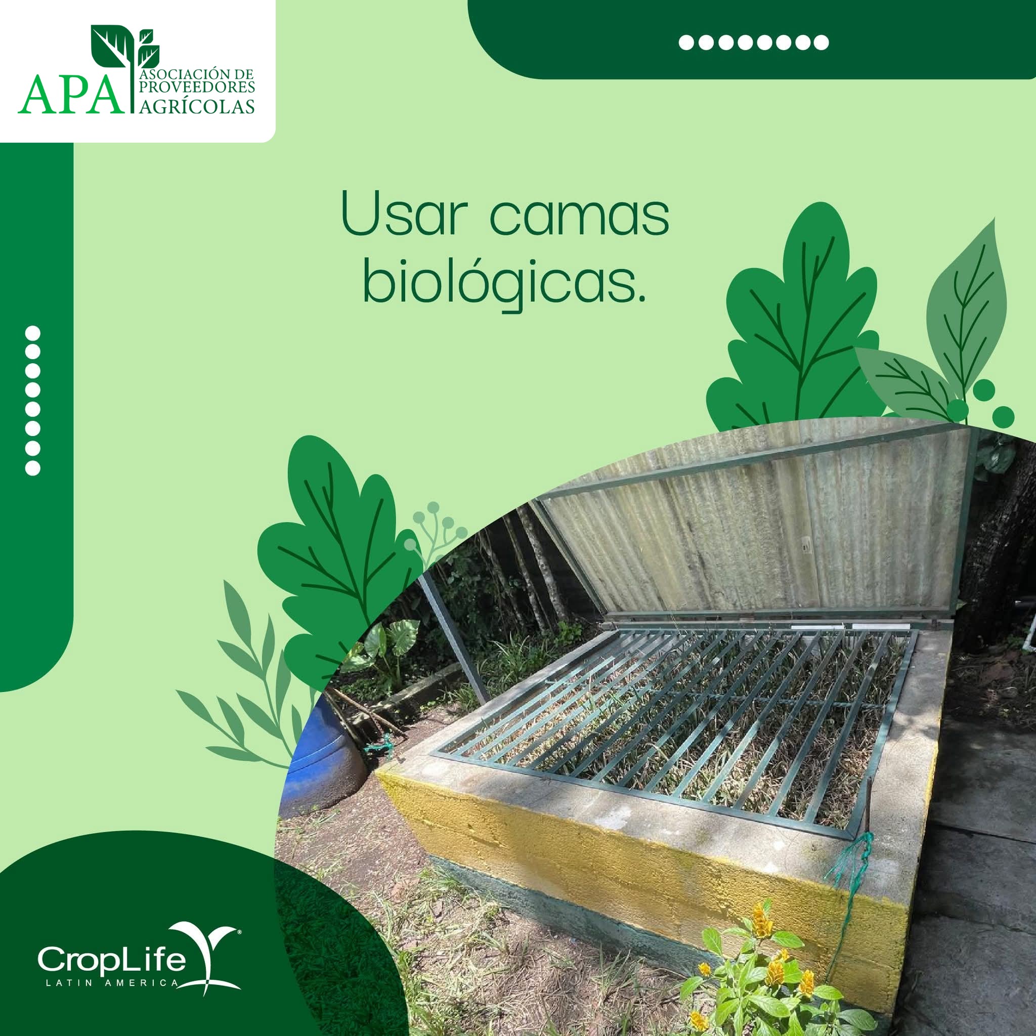 557727820_1341564634332596_3731537441718020308_n