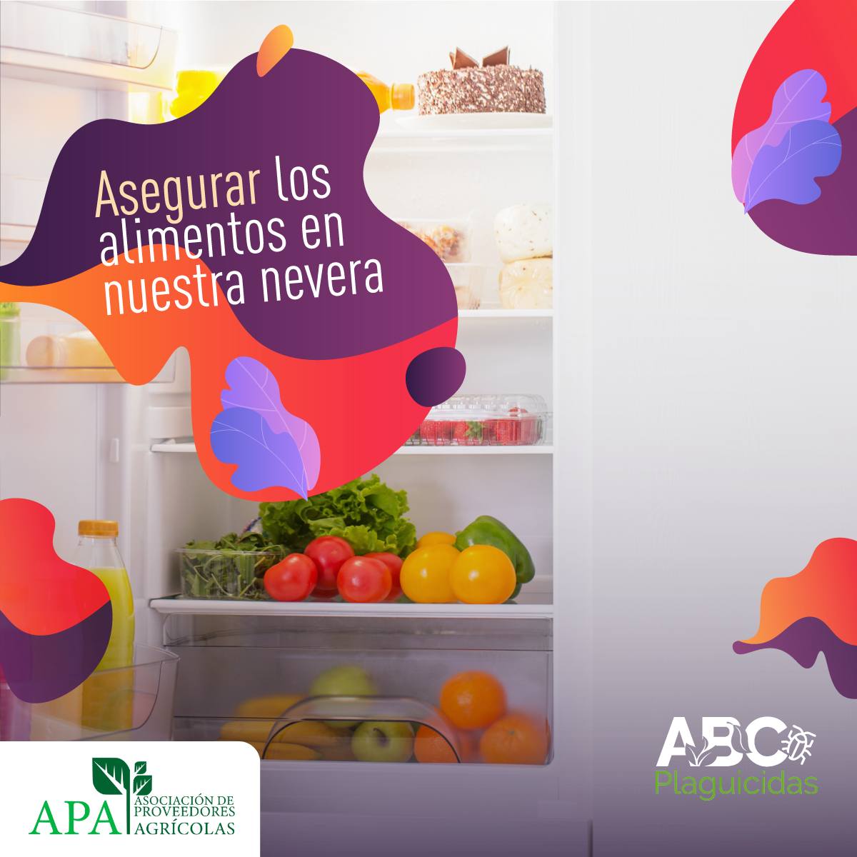 557919967_1339613937860999_4353982252872424308_n