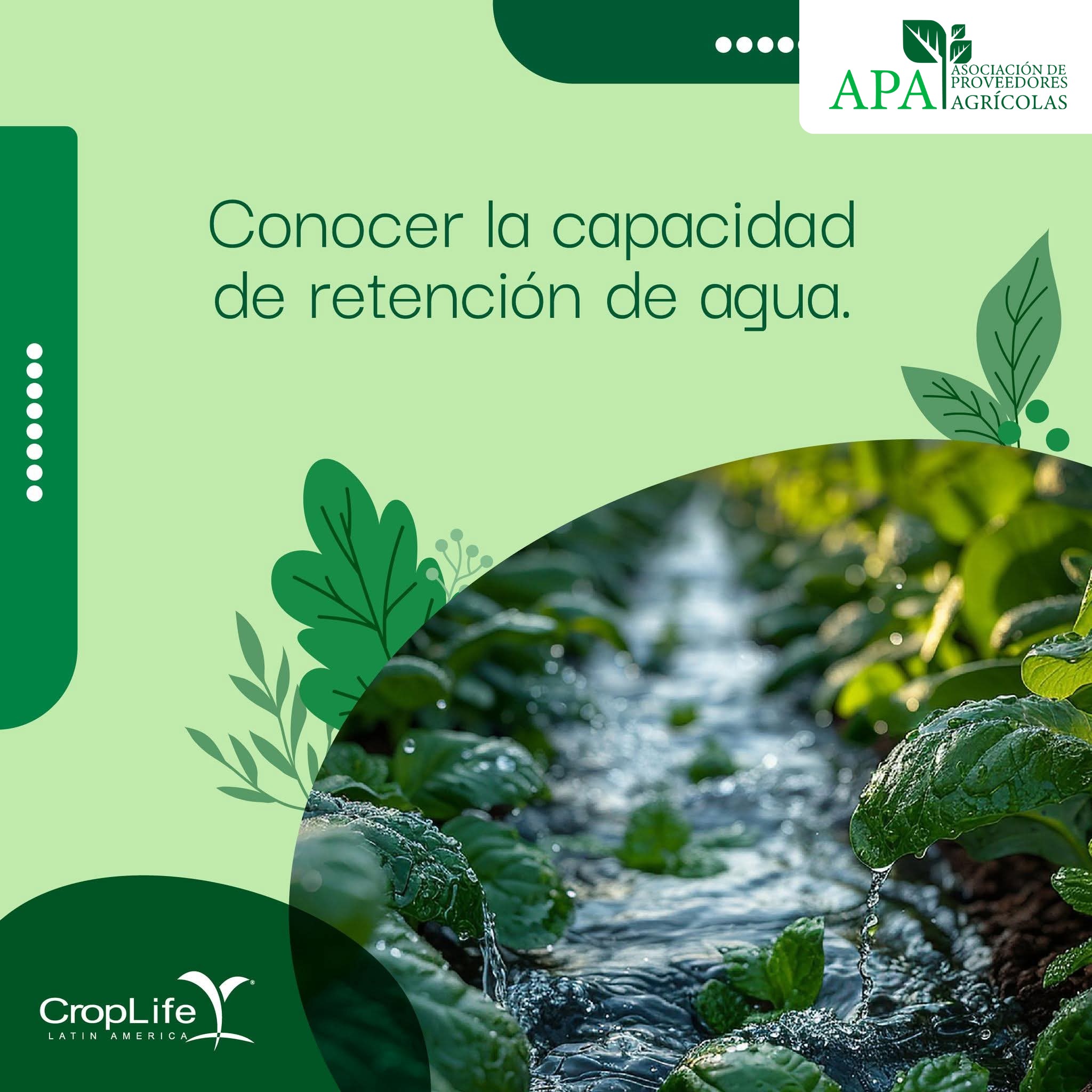 558142642_1341564370999289_2456748313526248309_n