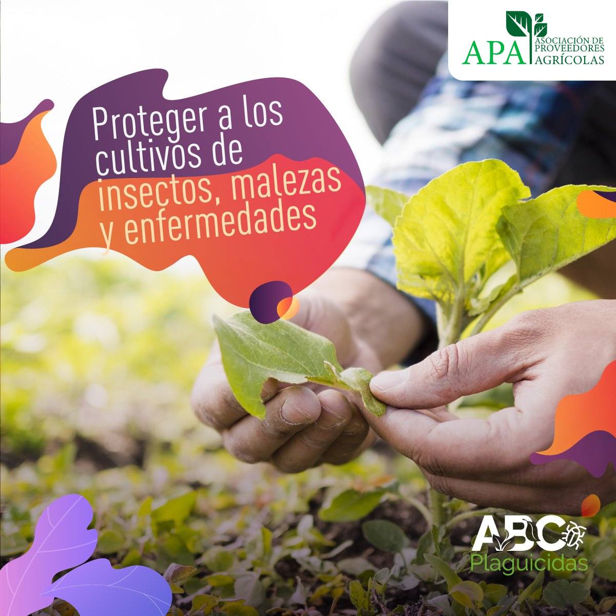 558215073_1339613977860995_1393150309473178150_n