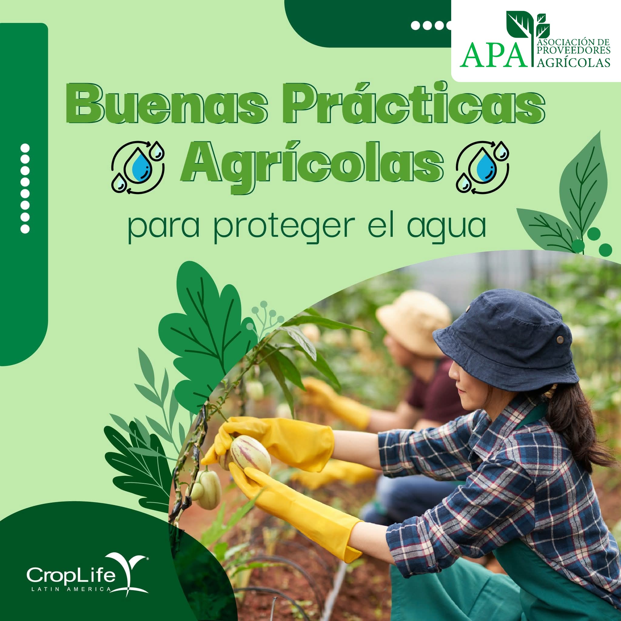 558468875_1341564347665958_76211552853850441_n