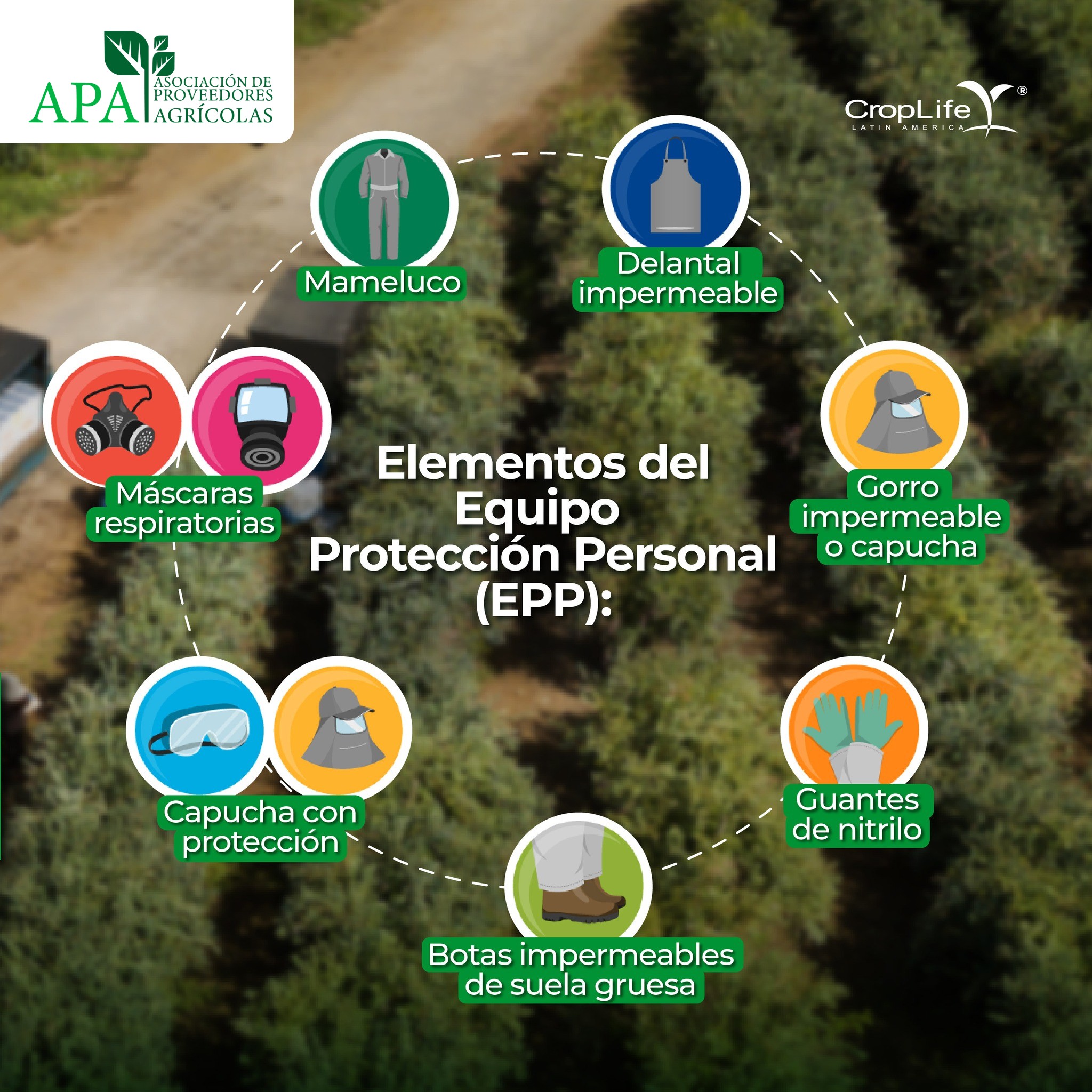 558869595_1340322494456810_7900196591166526599_n