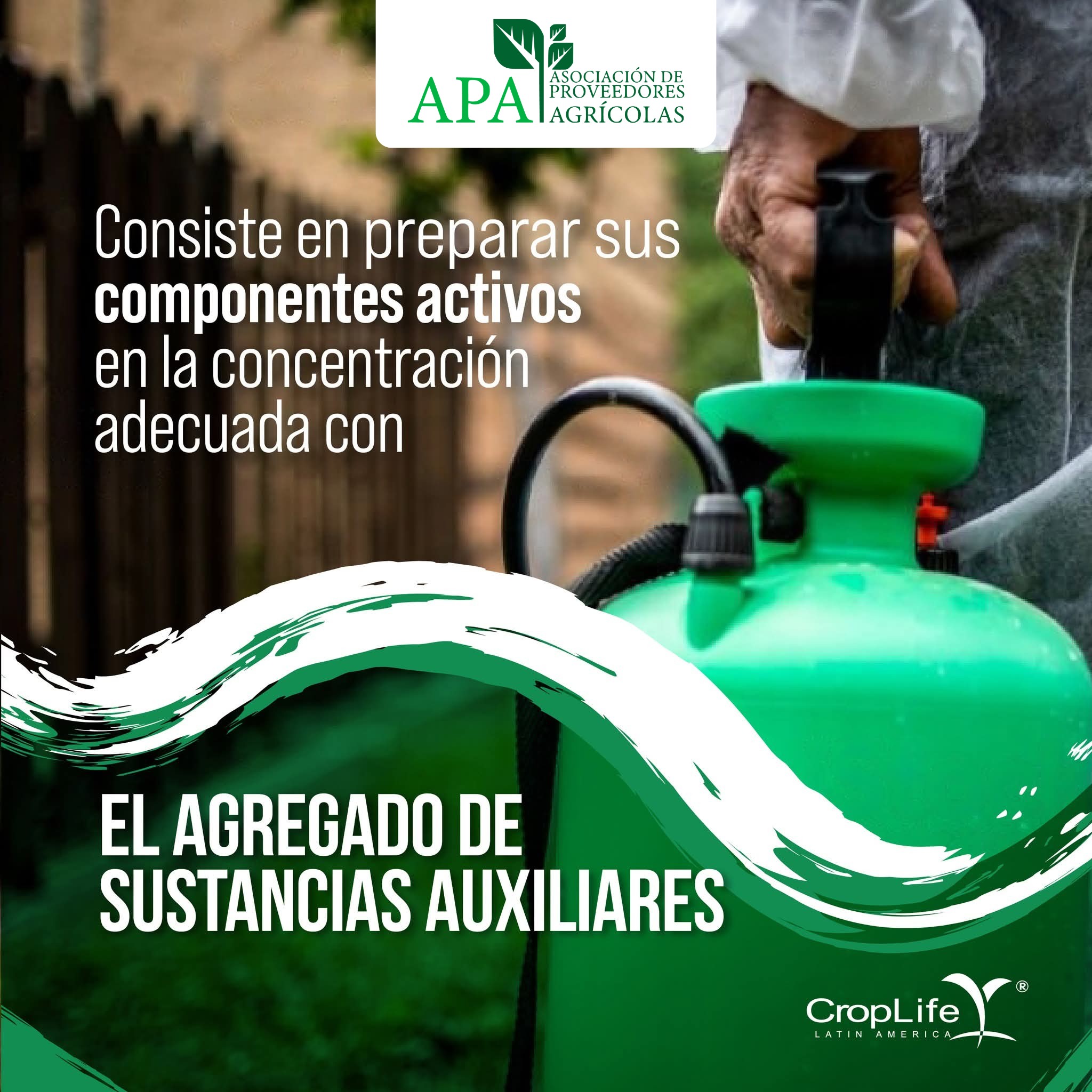 559149137_1342510657571327_832917405664425255_n