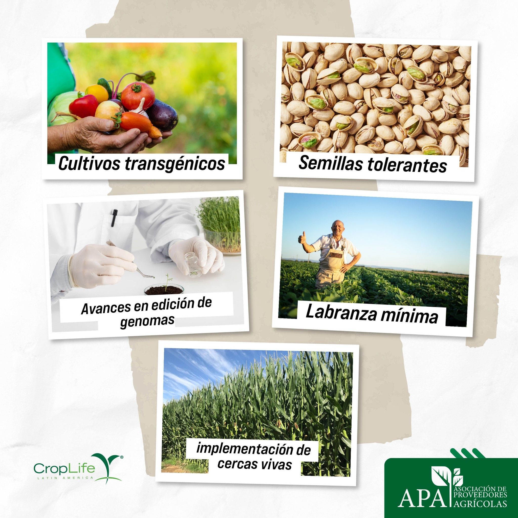 560784260_1340559601099766_909469186360616562_n