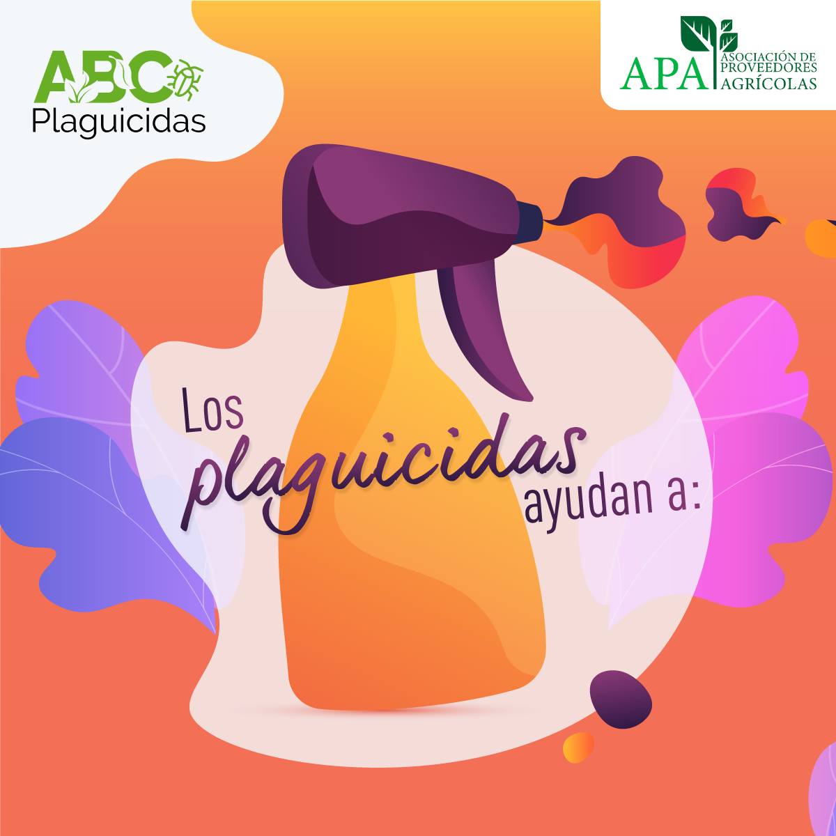 561059531_1339613904527669_3295187162148803337_n