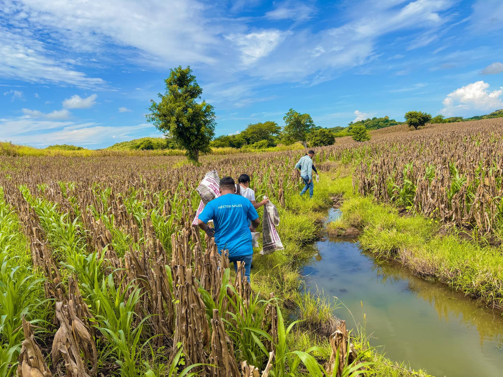 618087588_1429269408895451_8625208432709682539_n