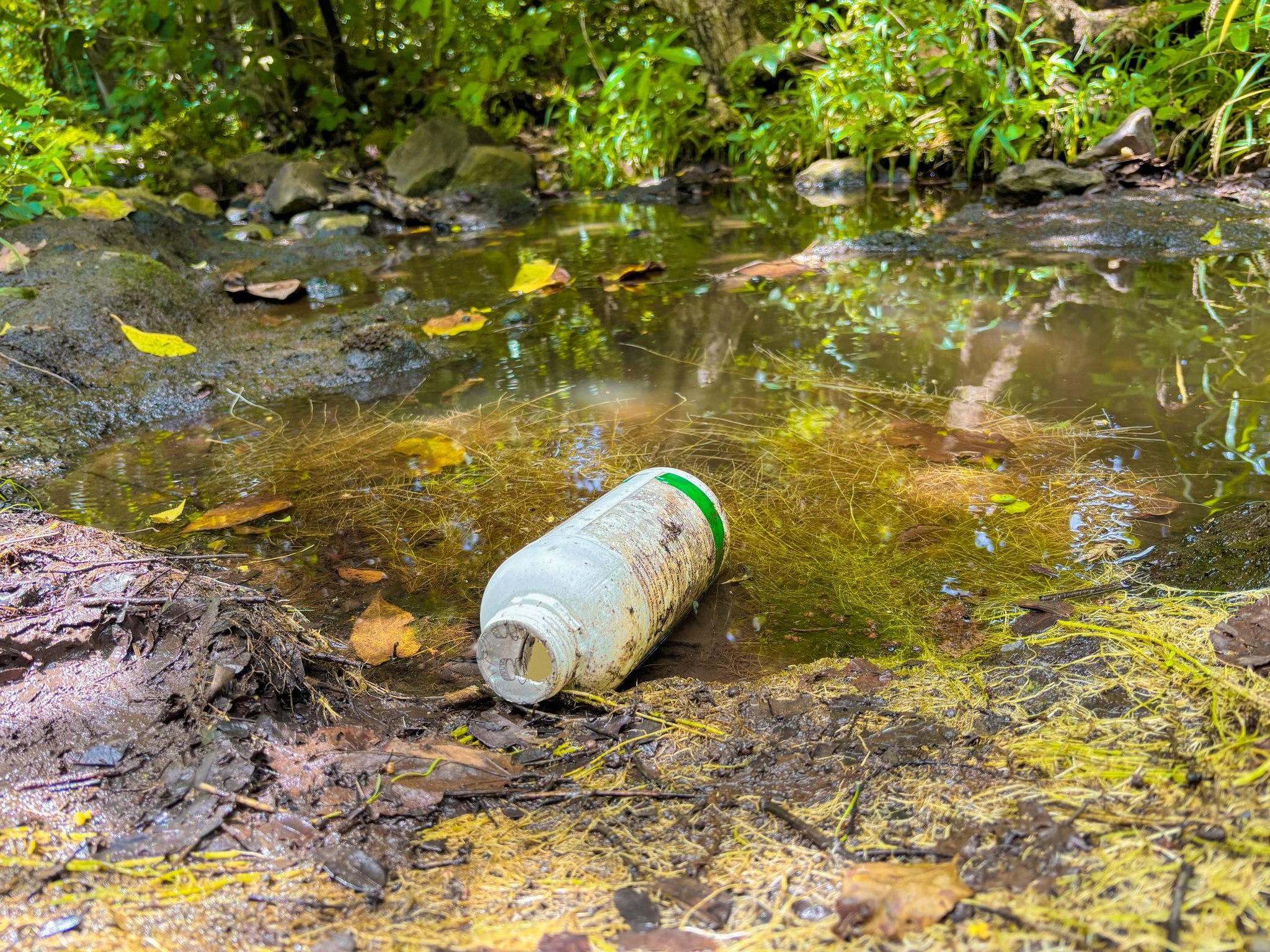 619110009_1429270395562019_7619602479979068425_n