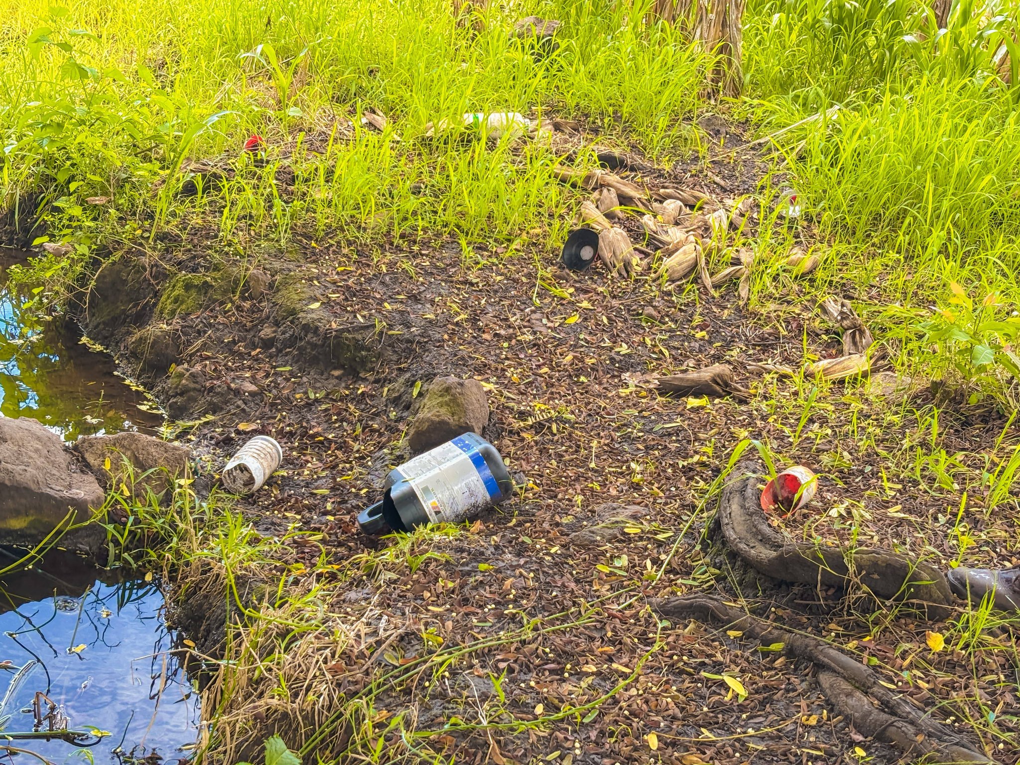 619174915_1429270892228636_2547825080914340517_n