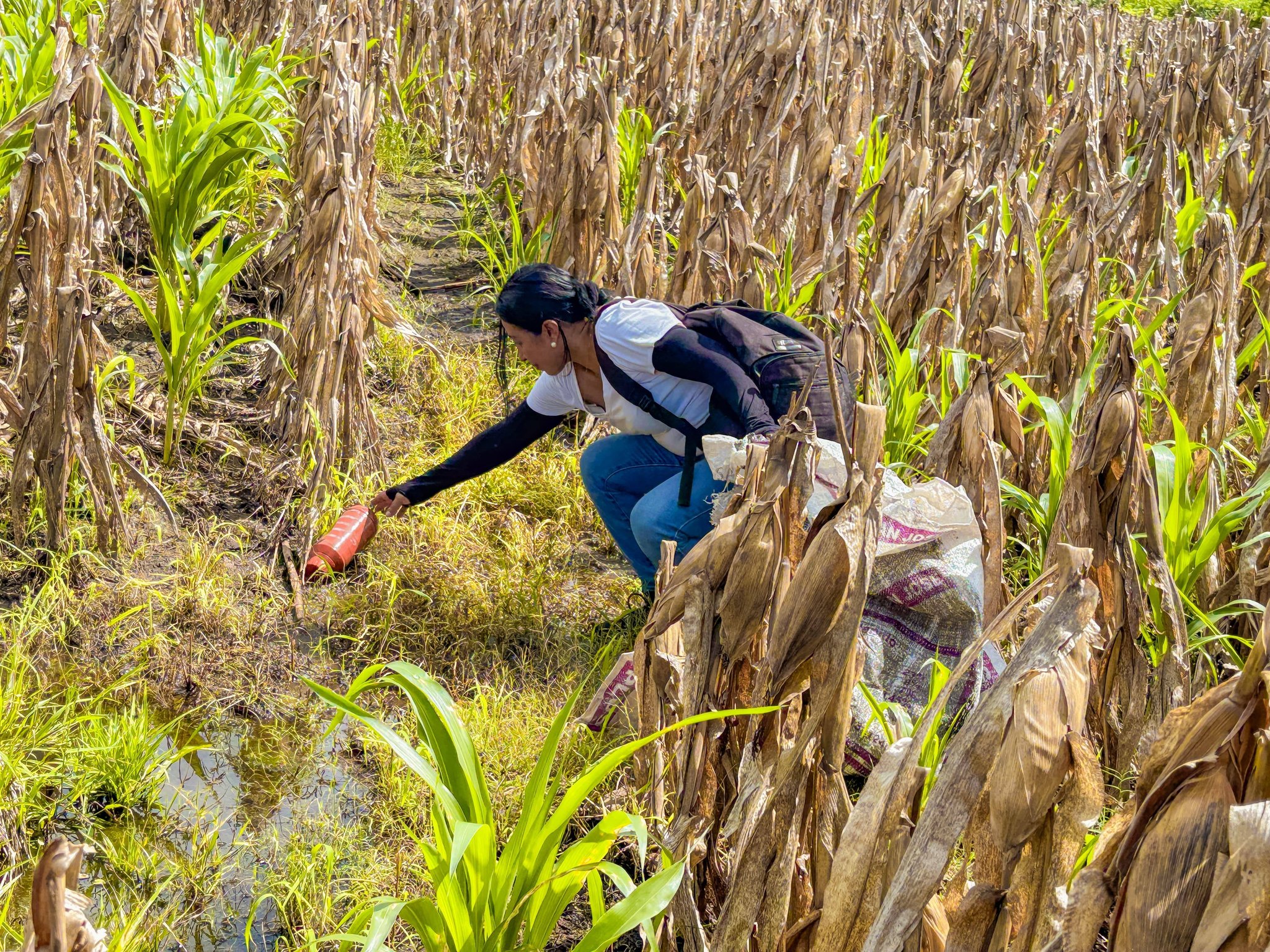 619517665_1429269358895456_3602906777851057539_n