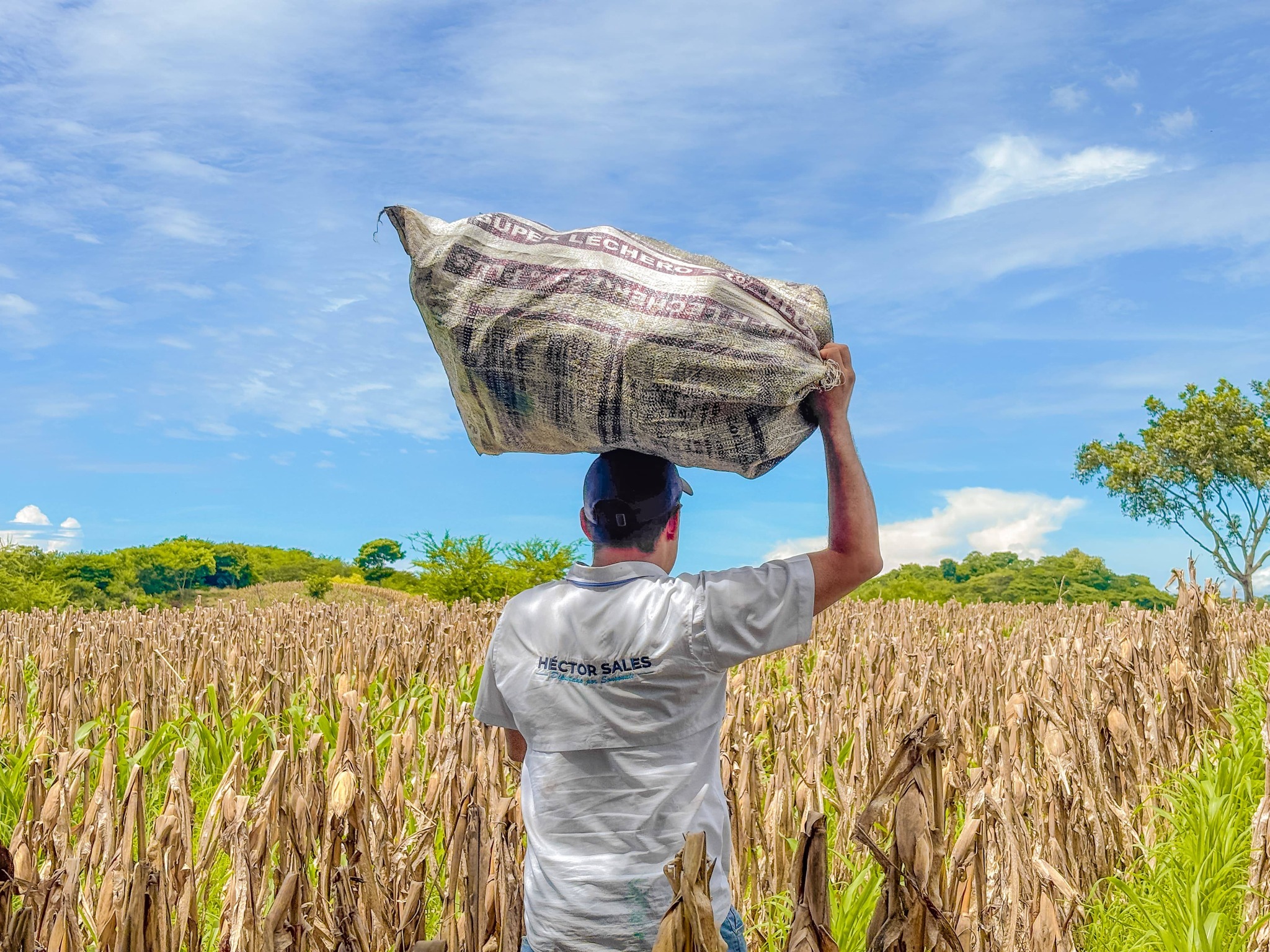 622363206_1429269672228758_2837537564037943583_n