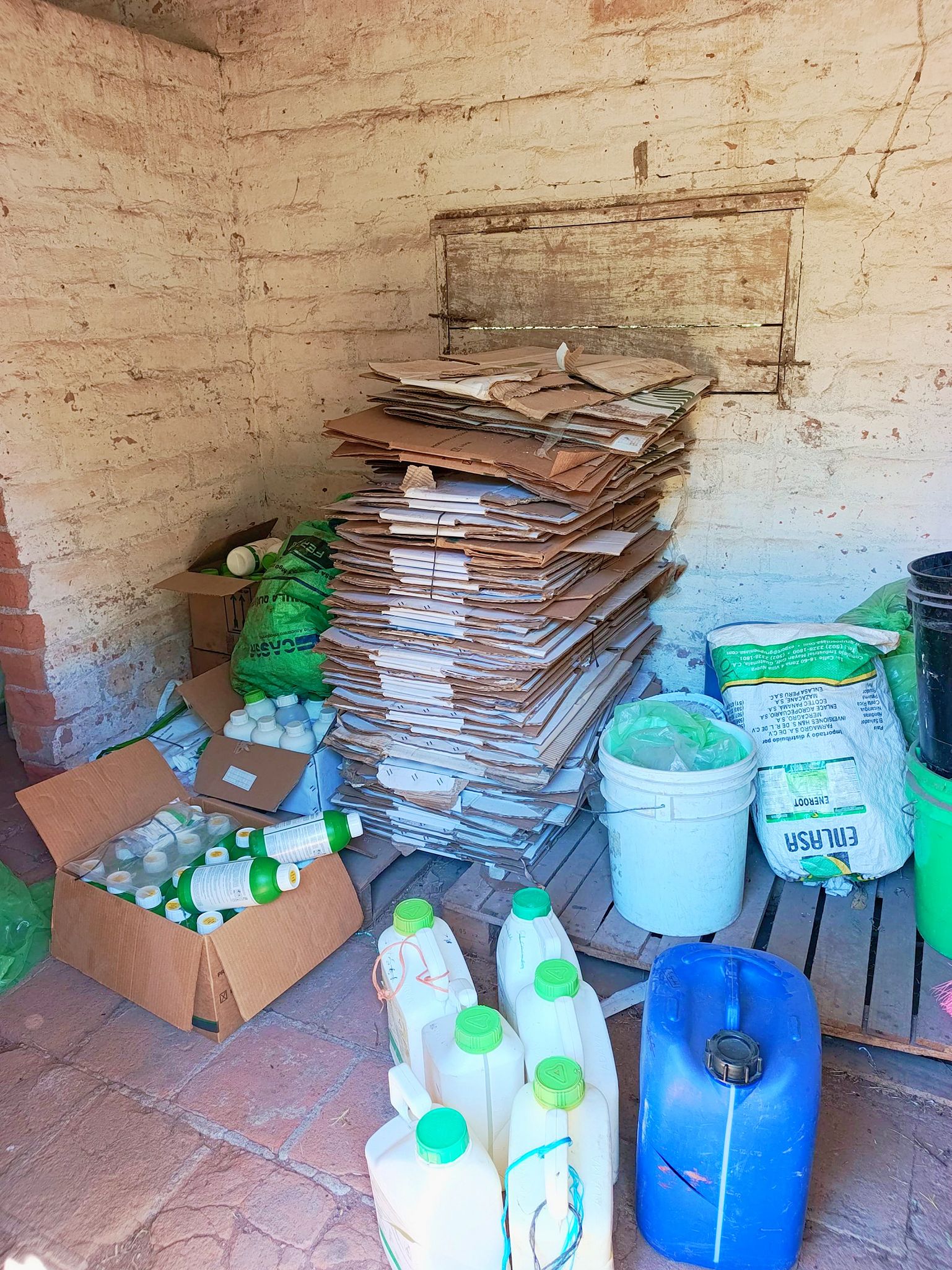 625323403_1436566074832451_1273783014499265930_n