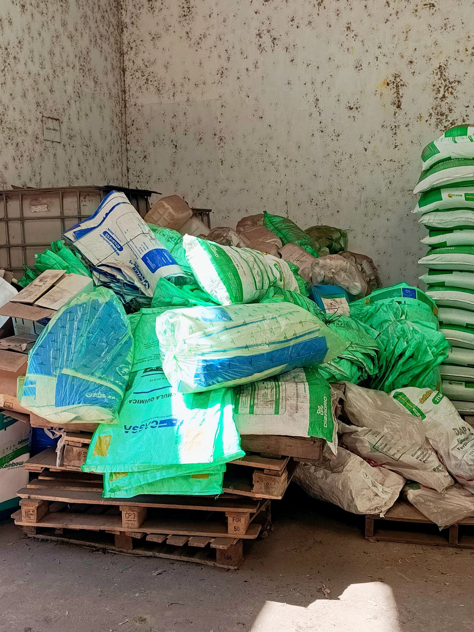 625343046_1436566134832445_6411268429765495860_n