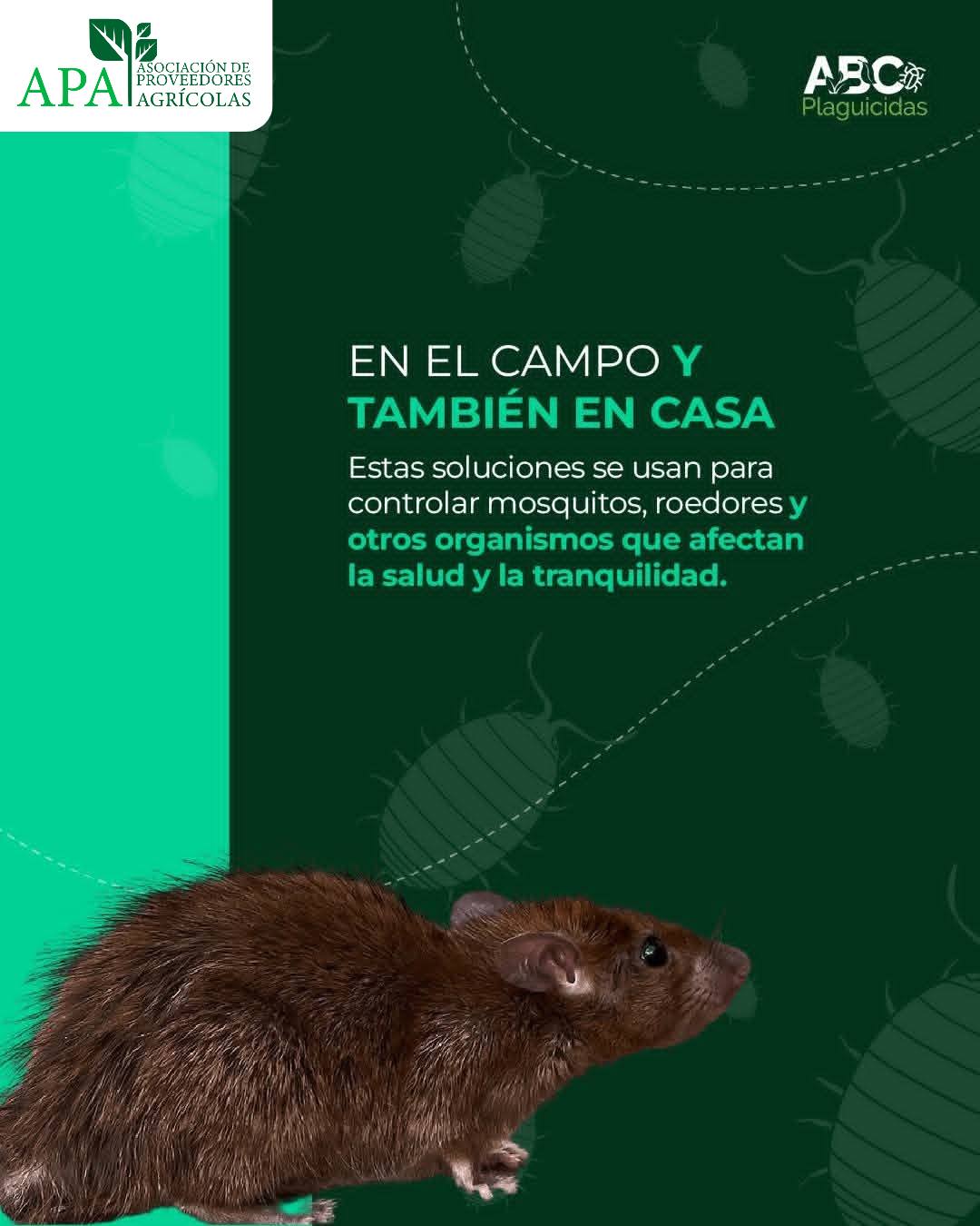 625625306_1434899014999157_8462927685429052879_n